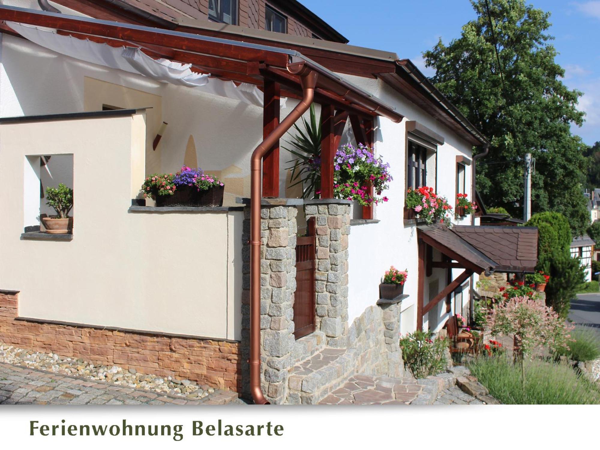Ferienwohnung Belasarte Bad Elster Ngoại thất bức ảnh