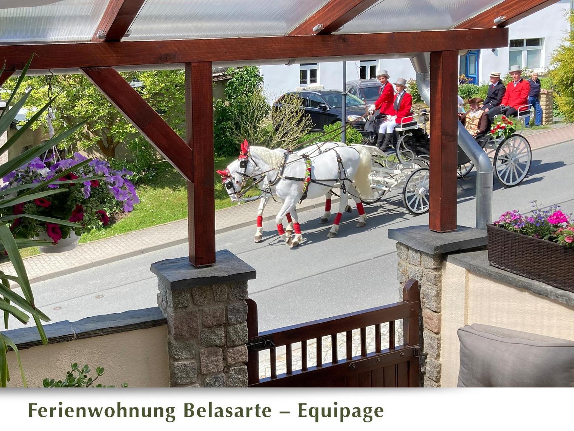 Ferienwohnung Belasarte Bad Elster Ngoại thất bức ảnh